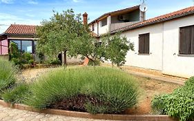 Vacation Home Elba